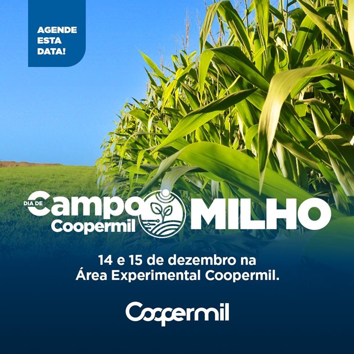 Coopermil Organiza Dia de Campo da Cultura do Milho para dezembro.